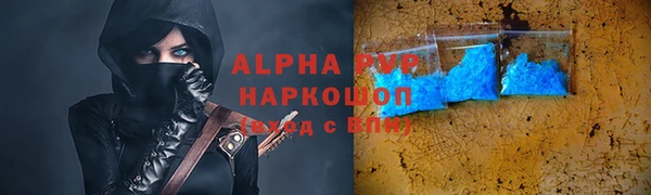СК Белокуриха