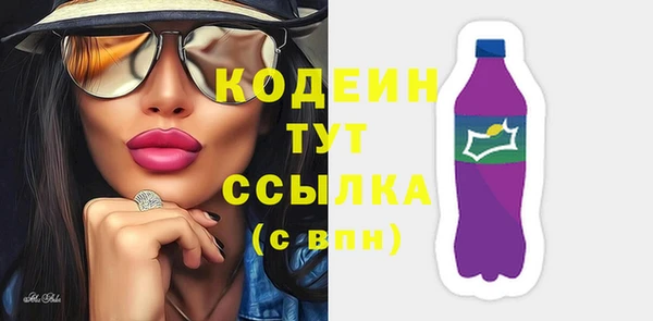 дмт Богородицк