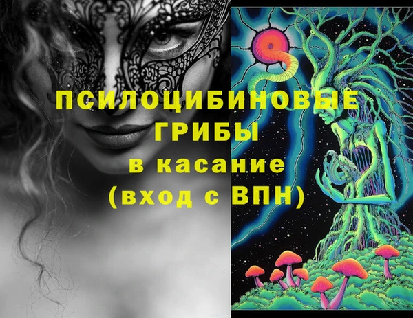 бошки Верхний Тагил