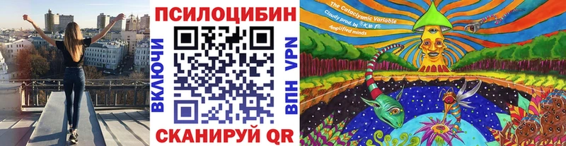 kraken зеркало  Первомайск  Псилоцибиновые грибы GOLDEN TEACHER 